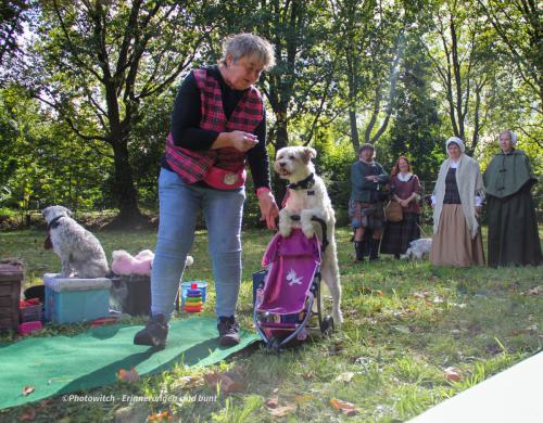 Merlin Puppenwagen